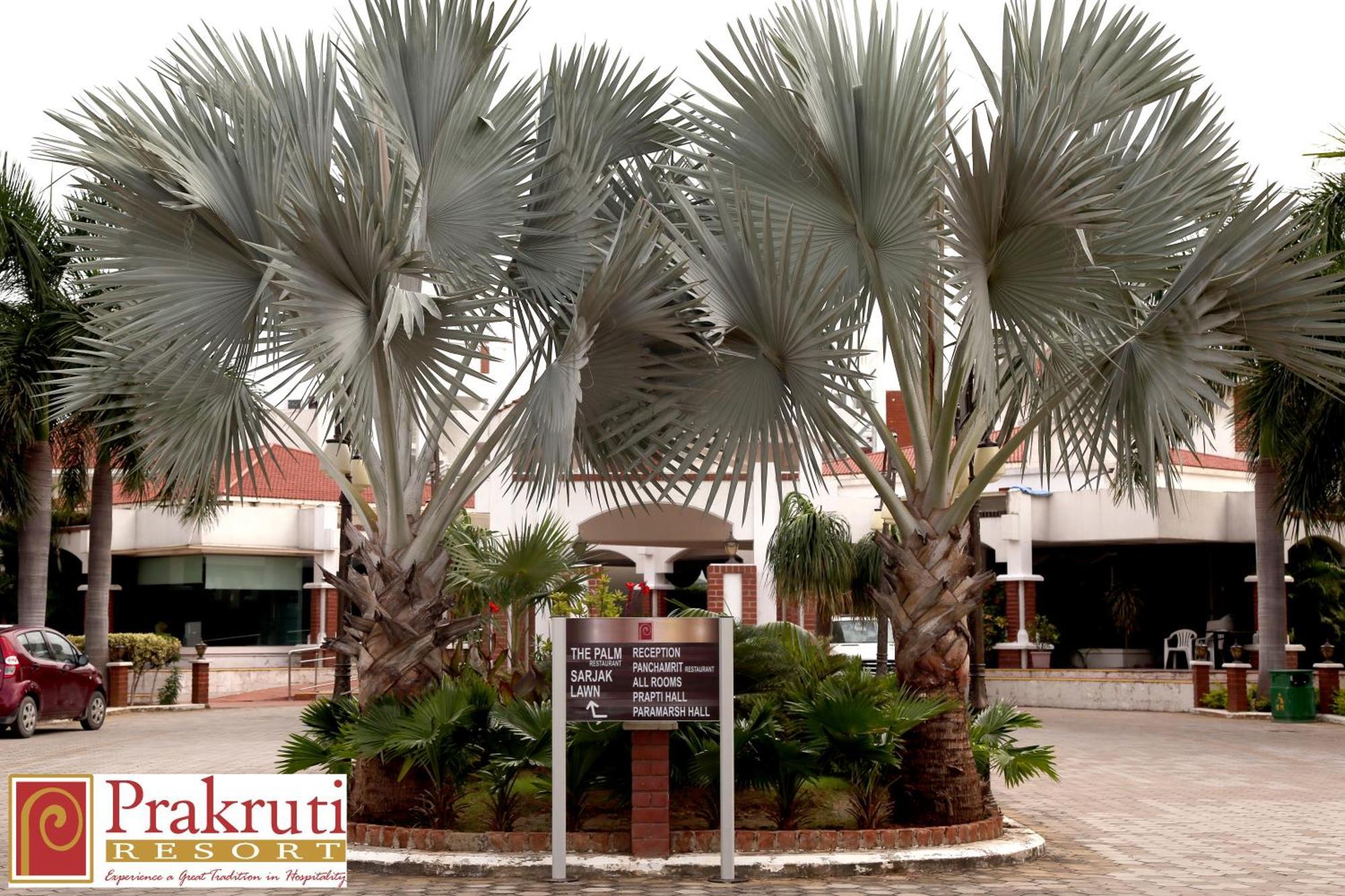 ואדודרה Prakruti Resort מראה חיצוני תמונה